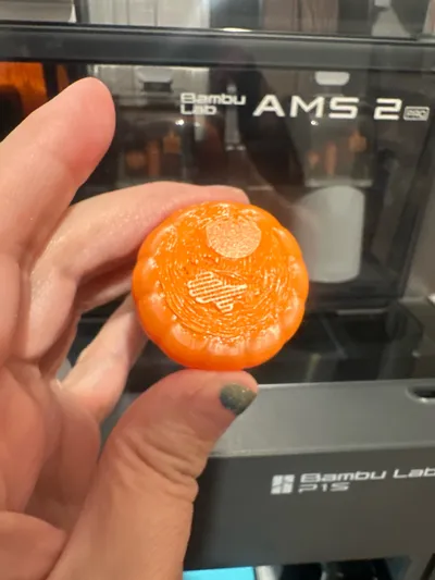 https://makerworld.bblmw.com/makerworld/model/1823676/1946740/ratings/2823f610-a5e3-11f0-b72f-a1f75585a36c.jpg