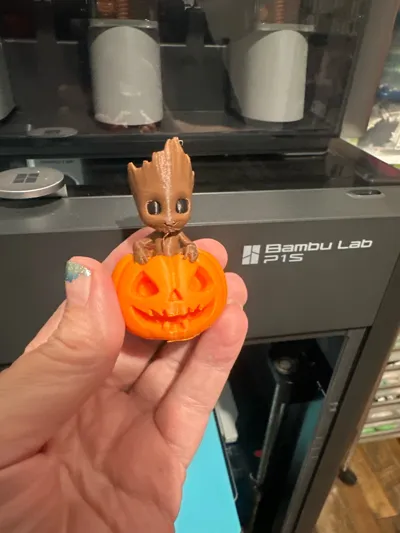 https://makerworld.bblmw.com/makerworld/model/1823676/1946740/ratings/2826b530-a5e3-11f0-b72f-a1f75585a36c.jpg