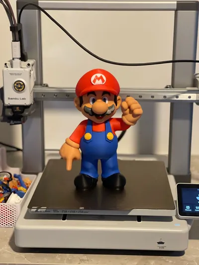 https://makerworld.bblmw.com/makerworld/model/1823981/1947070/ratings/8850cc70-c93d-11f0-ade7-0decffc74d4e.jpg