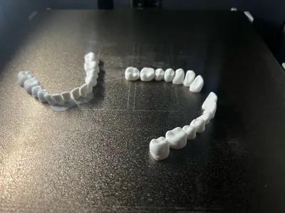 https://makerworld.bblmw.com/makerworld/model/1828254/1951988/ratings/aa8a1220-f713-11f0-965d-2b5b7b1f3a33.jpg