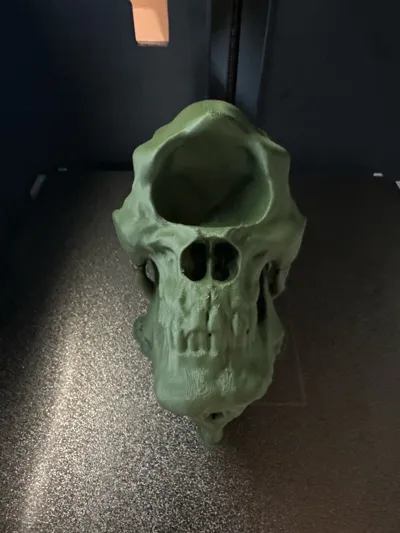 https://makerworld.bblmw.com/makerworld/model/1829413/1953301/ratings/efd6f890-bfee-11f0-9ae6-55c0e09dc7a7.jpg