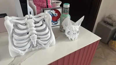 https://makerworld.bblmw.com/makerworld/model/1829519/1953421/ratings/960c9850-b7ca-11f0-8f38-67db31644593.jpg