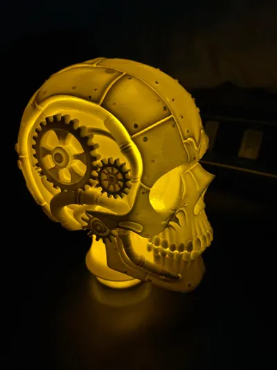 https://makerworld.bblmw.com/makerworld/model/1830120/1965898/ratings/de53a820-9e42-11f0-be98-1d08b891316a.jpg