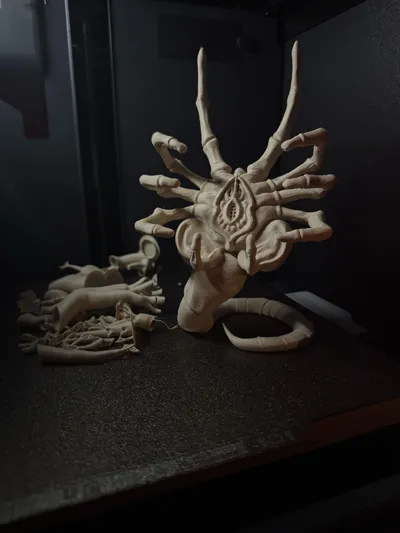 https://makerworld.bblmw.com/makerworld/model/1831495/1955847/ratings/363631d0-a5f4-11f0-a2e8-15019d5b4e6a.jpg