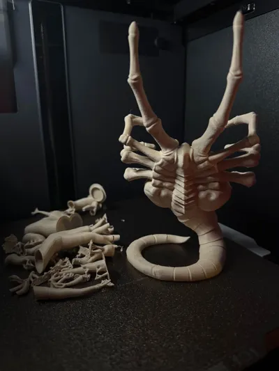 https://makerworld.bblmw.com/makerworld/model/1831495/1955847/ratings/36379160-a5f4-11f0-a2e8-15019d5b4e6a.jpg