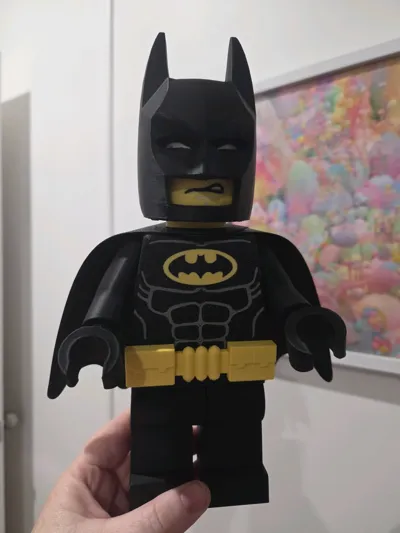 https://makerworld.bblmw.com/makerworld/model/1831544/1955899/ratings/ce3955c0-bc8d-11f0-ad5c-d934b511e403.jpg