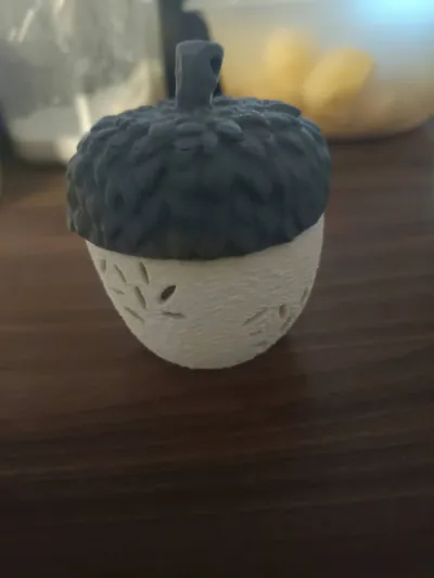 https://makerworld.bblmw.com/makerworld/model/1832270/1956739/ratings/c3256100-a050-11f0-87fc-0137cbf1e059.jpg