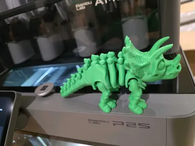 https://makerworld.bblmw.com/makerworld/model/1832456/1956948/ratings/f61b4410-f138-11f0-81f9-1da55303594a.jpg