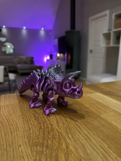 https://makerworld.bblmw.com/makerworld/model/1832456/1956957/ratings/d2fac810-e8c4-11f0-902f-bf4fe6832ae4.jpg