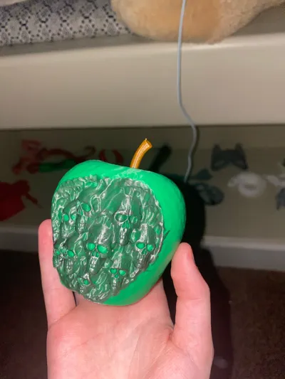 https://makerworld.bblmw.com/makerworld/model/1834779/1959577/ratings/73e57280-f549-11f0-81de-059d99925c2f.jpg