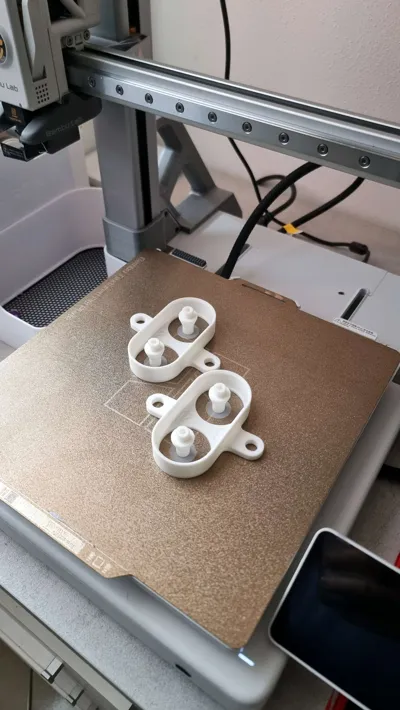 https://makerworld.bblmw.com/makerworld/model/183639/202461/ratings/c4e20b00-7cf7-11f0-8370-e766439d8960.jpg