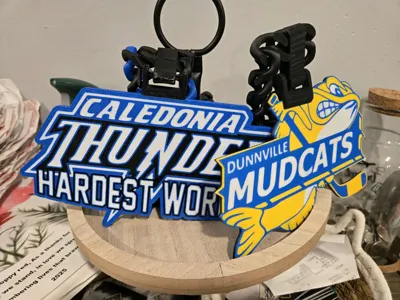 https://makerworld.bblmw.com/makerworld/model/1836972/1962122/ratings/fc196320-dc97-11f0-bbe2-9d757f24587f.jpg