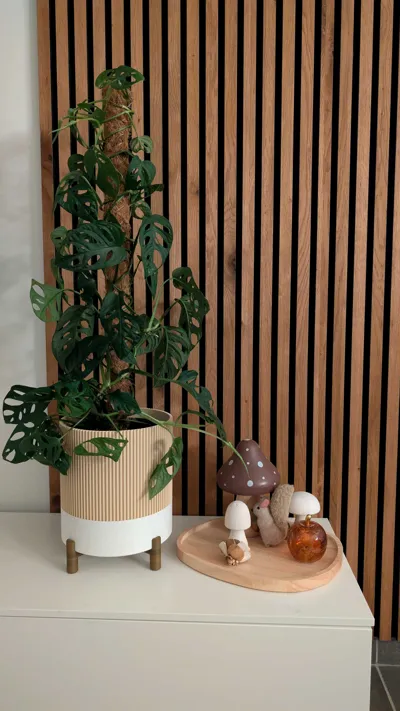 https://makerworld.bblmw.com/makerworld/model/1837778/1963019/ratings/fdce5130-d085-11f0-9824-99a604da4ae5.jpg