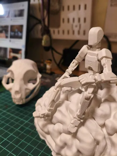 https://makerworld.bblmw.com/makerworld/model/183780/204465/ratings/0db6bd20-9c4d-11f0-b879-132948dc5770.jpg
