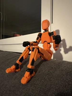 https://makerworld.bblmw.com/makerworld/model/183780/241112/ratings/8c5a21e0-011a-11f0-ad7f-fff80403f460.jpg