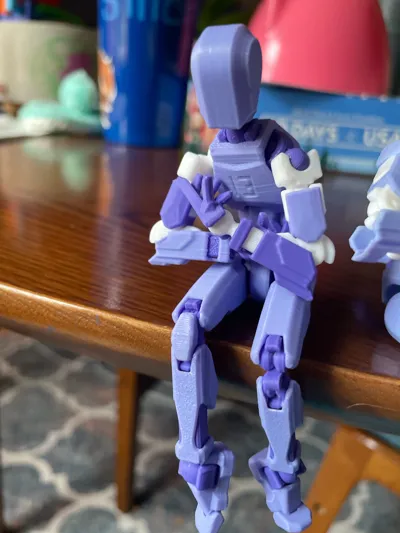 https://makerworld.bblmw.com/makerworld/model/183780/408285/ratings/ebf0d890-2b60-11f0-9a98-c98de3d438fd.jpg