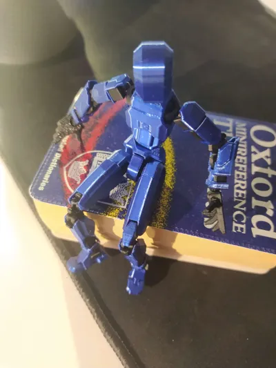https://makerworld.bblmw.com/makerworld/model/183780/492210/ratings/3b5f0c10-ae8a-11f0-a600-0940319ed41e.jpg