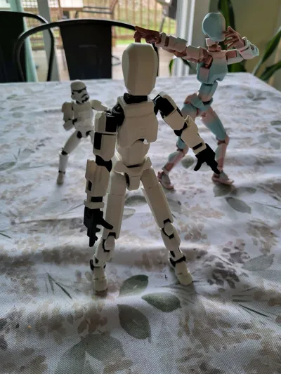 https://makerworld.bblmw.com/makerworld/model/183780/524328/ratings/61e93310-2adc-11f0-8377-31a91731a16a.jpg