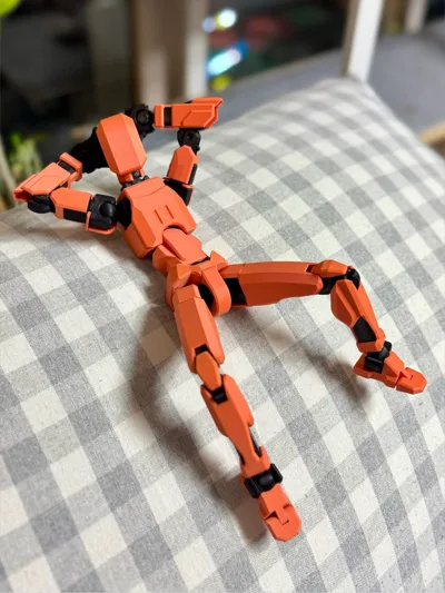 https://makerworld.bblmw.com/makerworld/model/183780/547285/ratings/8cd77ad0-e57d-11f0-a2ea-9f2d28216f50.jpg