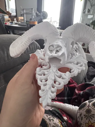 https://makerworld.bblmw.com/makerworld/model/1838295/1963655/ratings/d8645680-eb54-11f0-a070-774aa880d36a.jpg