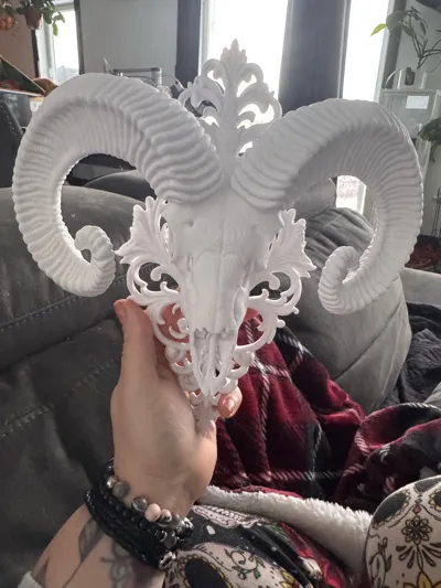 https://makerworld.bblmw.com/makerworld/model/1838295/1963655/ratings/d8691170-eb54-11f0-a070-774aa880d36a.jpg
