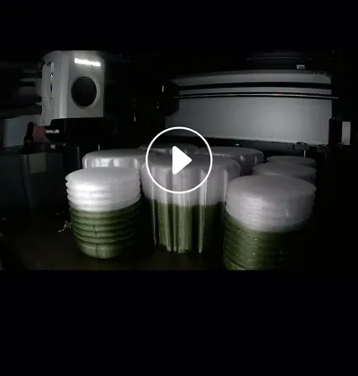 https://makerworld.bblmw.com/makerworld/model/183862/202731/ratings/4c29ccc0-7b85-11f0-b527-91d197cbf87a.jpg