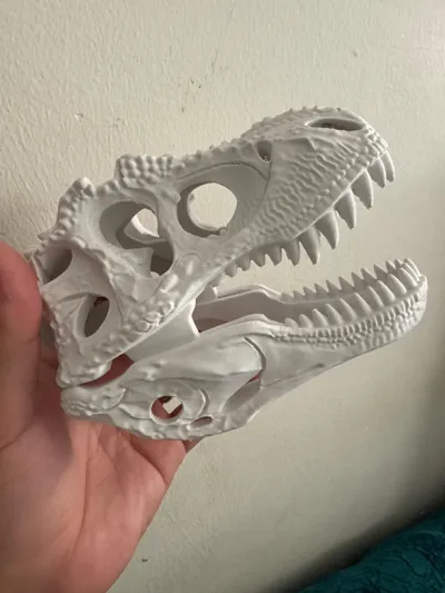 https://makerworld.bblmw.com/makerworld/model/1838622/1964055/ratings/f2abcc80-a65d-11f0-b41b-2547f0ffdc02.jpg