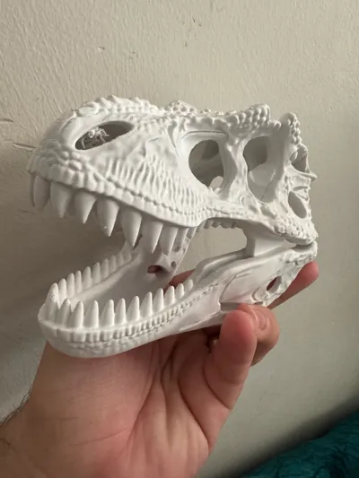 https://makerworld.bblmw.com/makerworld/model/1838622/1964055/ratings/f2ac41b0-a65d-11f0-b41b-2547f0ffdc02.jpg