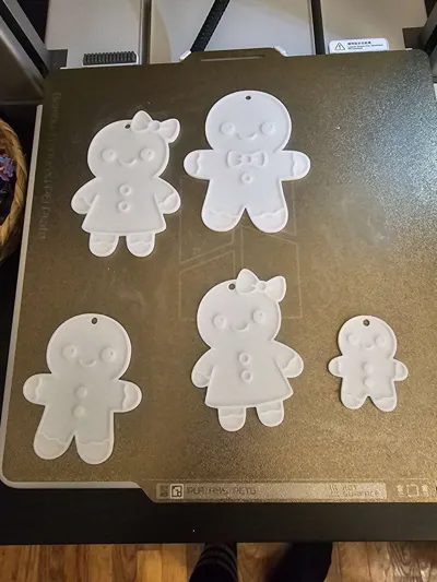https://makerworld.bblmw.com/makerworld/model/1838937/1964405/ratings/a8503bf0-c735-11f0-8bdc-d16222e5249f.jpg