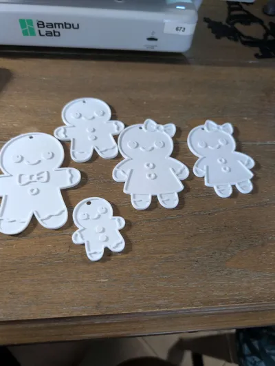 https://makerworld.bblmw.com/makerworld/model/1838937/1964405/ratings/a8f005f0-c004-11f0-89c2-8727a719896f.jpg