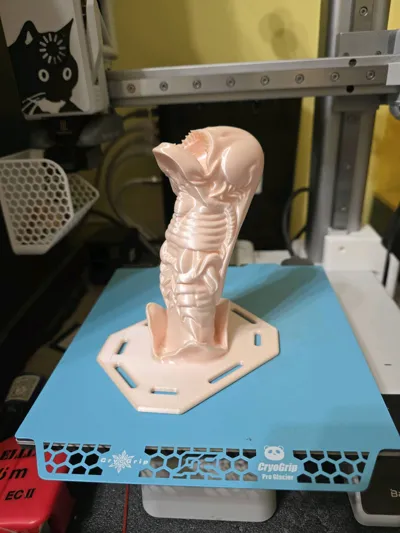 https://makerworld.bblmw.com/makerworld/model/1841482/1967258/ratings/089d9370-b239-11f0-9449-091648eb83d3.jpg