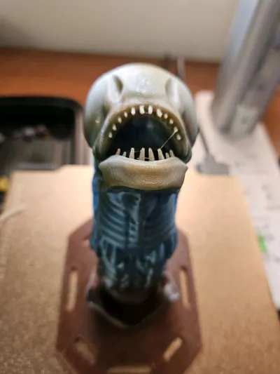 https://makerworld.bblmw.com/makerworld/model/1841482/1967258/ratings/51f15ea0-af76-11f0-816b-23e0e93a4525.jpg