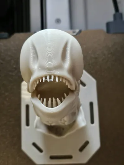 https://makerworld.bblmw.com/makerworld/model/1841482/1967258/ratings/51f7ee50-af76-11f0-816b-23e0e93a4525.jpg