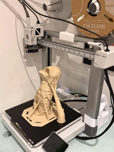 https://makerworld.bblmw.com/makerworld/model/1841482/1967258/ratings/a71256a0-9fd6-11f0-afe1-a138541ad16d.jpg