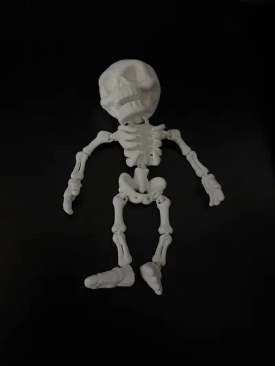 https://makerworld.bblmw.com/makerworld/model/1841570/1967366/ratings/989f53d0-9e31-11f0-b848-e3ce527d1d57.jpg