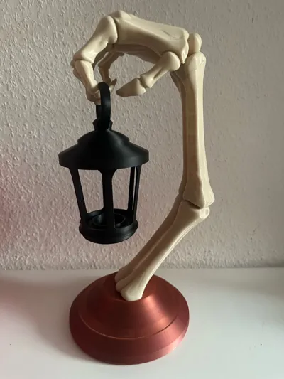 https://makerworld.bblmw.com/makerworld/model/1841713/1967529/ratings/88dded30-b6a5-11f0-8470-ef98156ba3d4.jpg