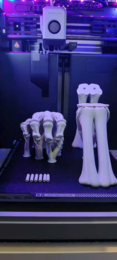 https://makerworld.bblmw.com/makerworld/model/1841713/1967529/ratings/8f991c90-b96f-11f0-89a5-8399ed5a85c1.jpg