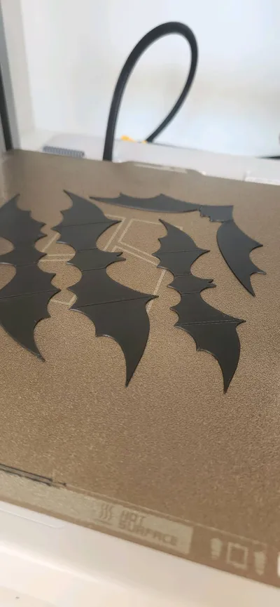https://makerworld.bblmw.com/makerworld/model/1841767/1974188/ratings/4ab052a0-a115-11f0-bc39-97d6f3f5c7b5.jpg