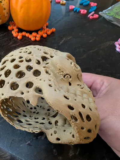 https://makerworld.bblmw.com/makerworld/model/1842119/1968082/ratings/ff3e2a20-9f8b-11f0-ab9e-13e21d457fa7.jpg