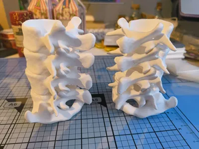 https://makerworld.bblmw.com/makerworld/model/1842156/1969271/ratings/3a577bd0-a913-11f0-b367-796b14bfaa88.jpg