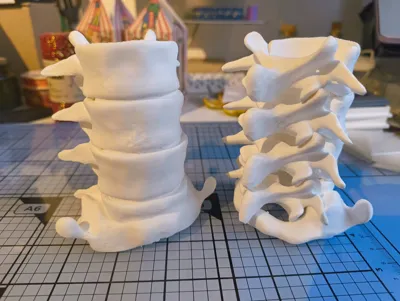 https://makerworld.bblmw.com/makerworld/model/1842156/1969271/ratings/3a595090-a913-11f0-b367-796b14bfaa88.jpg