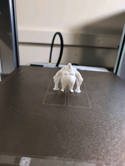 https://makerworld.bblmw.com/makerworld/model/1842320/1968337/ratings/be2ae9a0-a577-11f0-8621-27d5dbe66cd2.jpg