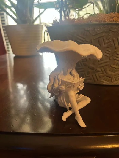https://makerworld.bblmw.com/makerworld/model/1844597/1971091/ratings/df09dbf0-f3b9-11f0-b786-f7c71d3cd50c.jpg