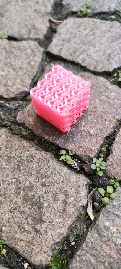 https://makerworld.bblmw.com/makerworld/model/1845190/1971797/ratings/2cffab50-9ece-11f0-84dd-3ba7ca7f8c3e.jpg