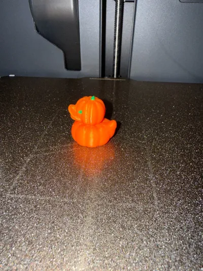 https://makerworld.bblmw.com/makerworld/model/1846228/1973015/ratings/b9e555c0-ba75-11f0-ac4d-13a1bf9f1216.jpg