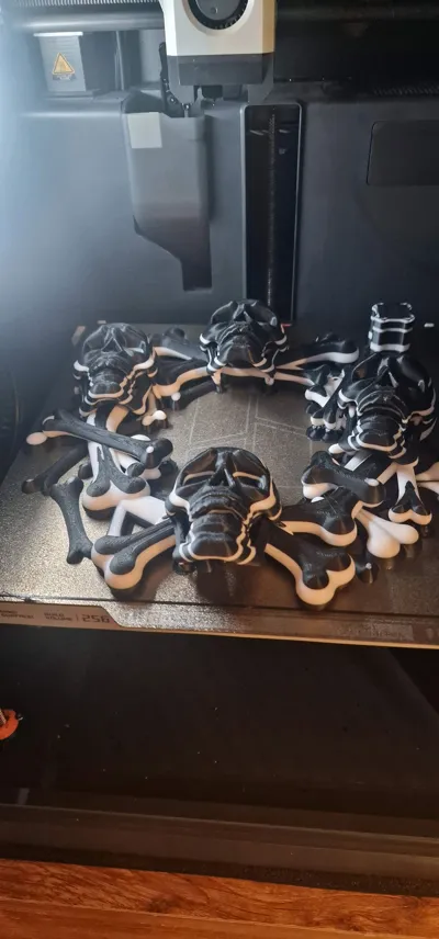 https://makerworld.bblmw.com/makerworld/model/1849637/1976953/ratings/f3c5b180-a61c-11f0-8433-f5ba056adf1d.jpg
