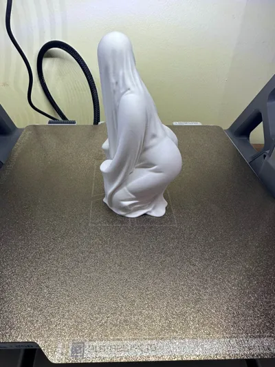 https://makerworld.bblmw.com/makerworld/model/1851027/1978657/ratings/337ba830-b828-11f0-a1d8-d5251392aa49.jpg