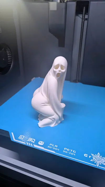 https://makerworld.bblmw.com/makerworld/model/1851027/1978657/ratings/84455400-c0f2-11f0-b3fe-fb27d4d8195d.jpg