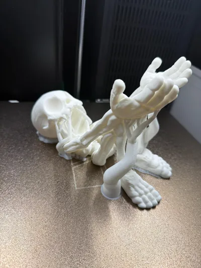 https://makerworld.bblmw.com/makerworld/model/1852576/1980561/ratings/3e09a420-a7af-11f0-88c0-2feac1348c91.jpg