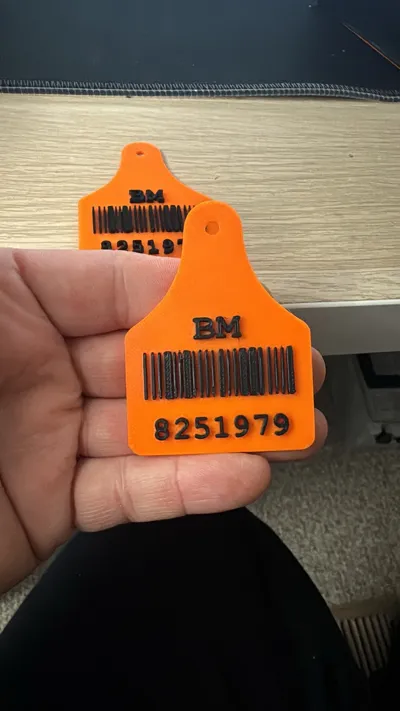 https://makerworld.bblmw.com/makerworld/model/185324/204032/ratings/3a1e5d00-b3e0-11f0-8d82-c1372b2b6fa3.jpg